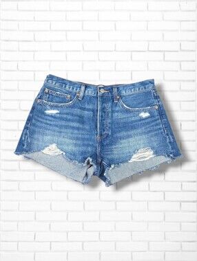 Aritzia Denim Forum The Ex-Boyfriend Distressed Denim Short Size 28